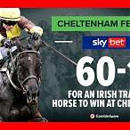 cheltenham races bet